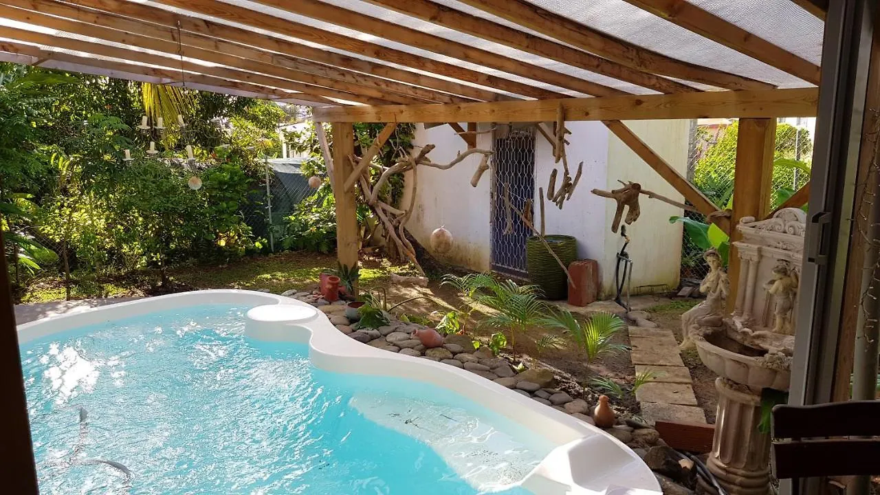 Appartement Moderne A Le Lamentin Avec Piscine Partagee 20M²